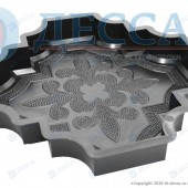 Клевер краковский бол. 45 (Д) целые